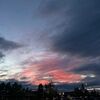 emily_guerin28